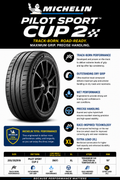 255/35ZR19 MICHELIN PILOT SPORT CUP 2 (96Y) XL
